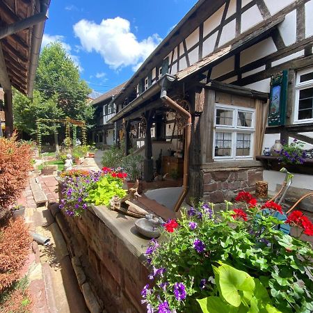La Ferme De Grand Mere Furchhausen Εξωτερικό φωτογραφία