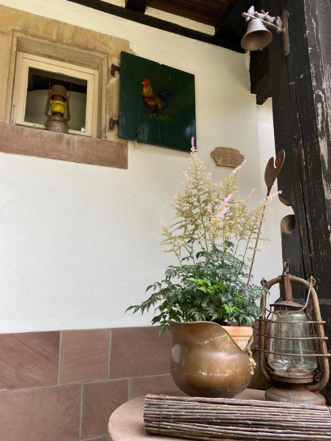 La Ferme De Grand Mere Furchhausen Εξωτερικό φωτογραφία